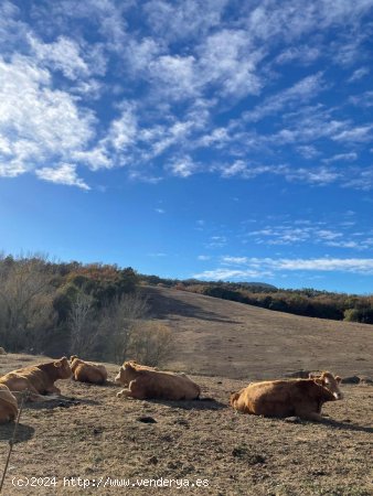 Finca en venta en Bescanó (Girona)