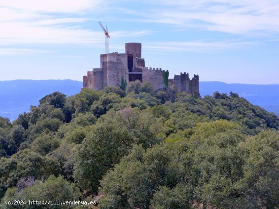  Finca en venta en Sant Feliu de Buixalleu (Girona) 