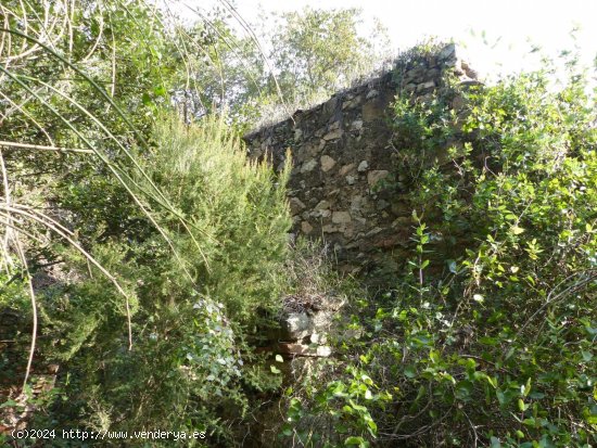 Finca en venta en Sant Feliu de Buixalleu (Girona)