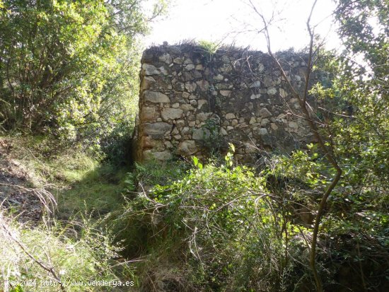 Finca en venta en Sant Feliu de Buixalleu (Girona)