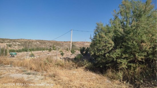  Finca en venta en Huércal-Overa (Almería) 