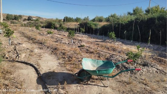 Finca en venta en Huércal-Overa (Almería)