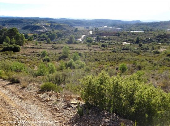 Finca en venta en Maella (Zaragoza)