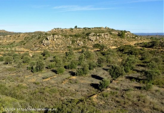 Finca en venta en Maella (Zaragoza)