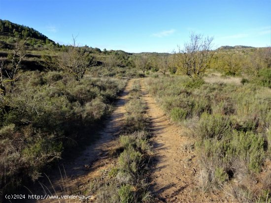 Finca en venta en Maella (Zaragoza)