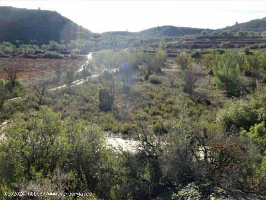 Finca en venta en Maella (Zaragoza)