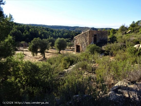 Finca en venta en Maella (Zaragoza)