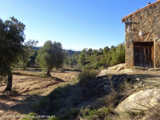 Finca en venta en Maella (Zaragoza)