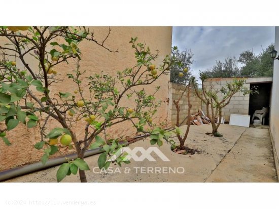 Finca en venta en Alfarnatejo (Málaga)