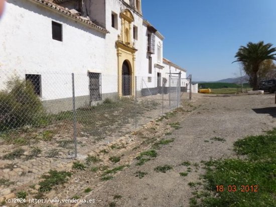 Finca para invertir en Villanueva de la Concepcion (Málaga)