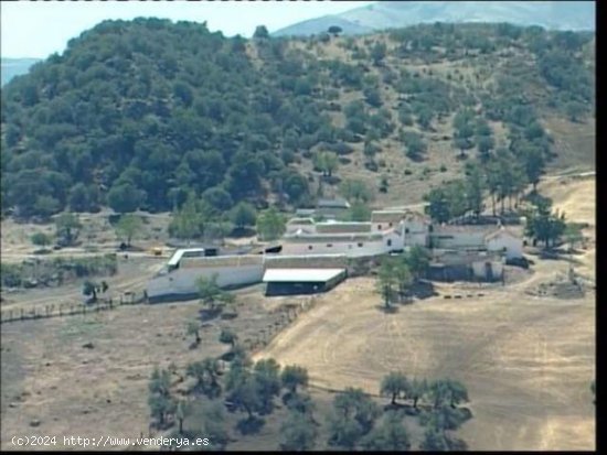 Finca para invertir en Villanueva de la Concepcion (Málaga)