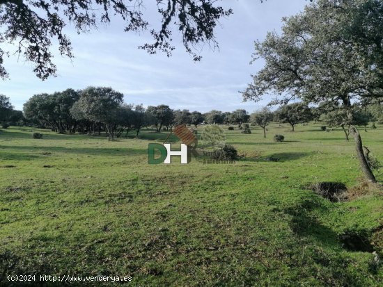 Solar en venta en Cáceres (Cáceres)