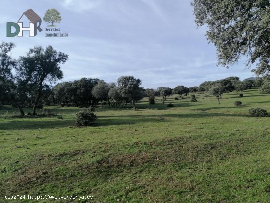 Solar en venta en Cáceres (Cáceres)