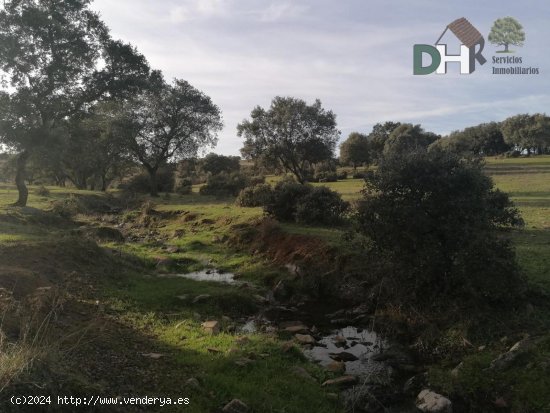 Solar en venta en Cáceres (Cáceres)