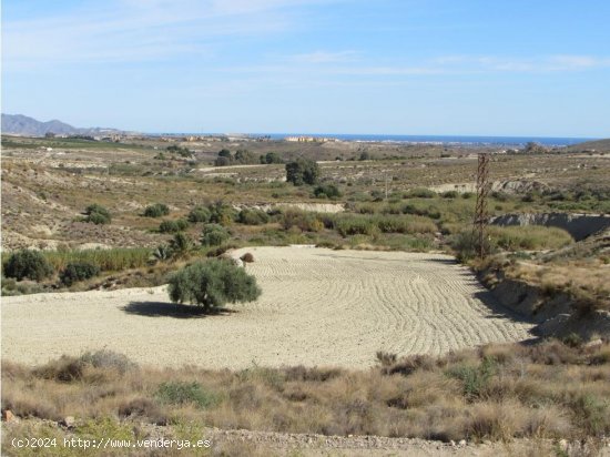 Finca en venta en Antas (Almería)