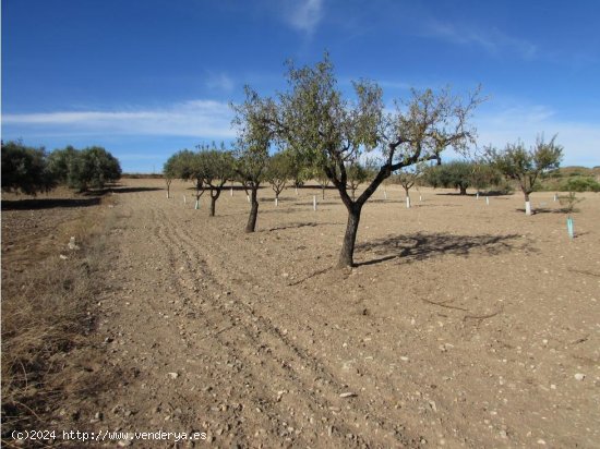 Finca en venta en Antas (Almería)