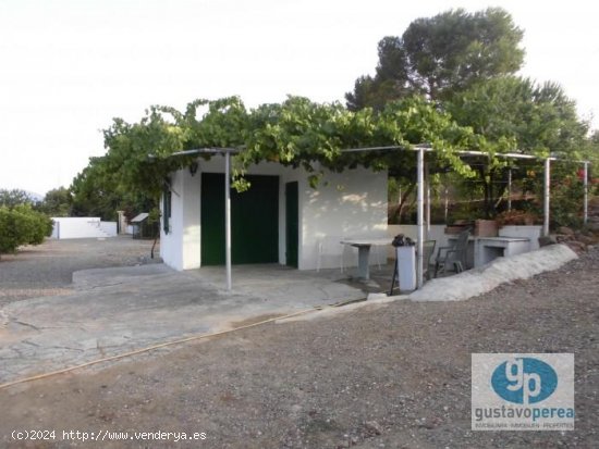  Finca en venta en Pizarra (Málaga) 