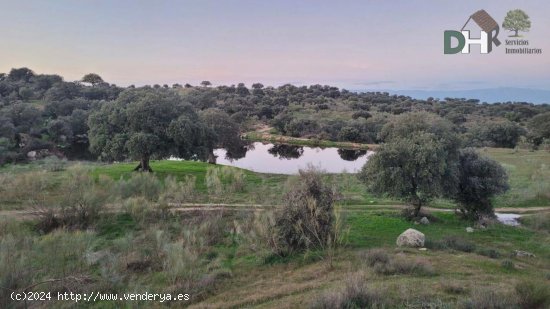 Solar en venta en Cáceres (Cáceres)