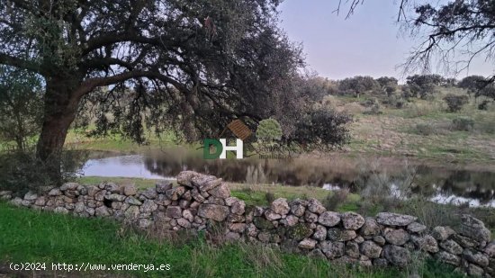 Solar en venta en Cáceres (Cáceres)