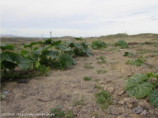 Parcela en alquiler en Vera (Almería)