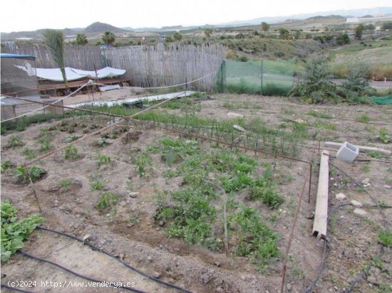 Parcela en alquiler en Vera (Almería)