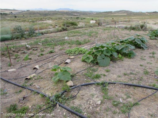 Parcela en alquiler en Vera (Almería)