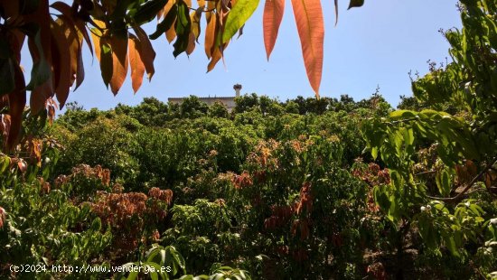 Finca en venta en Vélez-Málaga (Málaga)