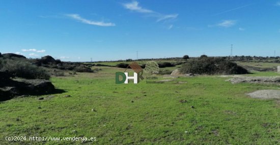  Solar en venta en Cáceres (Cáceres) 