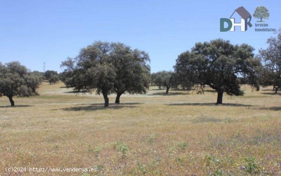 Solar en venta en Cáceres (Cáceres)