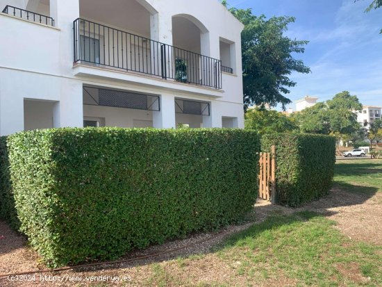 Apartamento en venta en Murcia (Murcia)