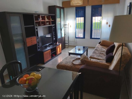 Apartamento en alquiler en Cádiz (Cádiz)