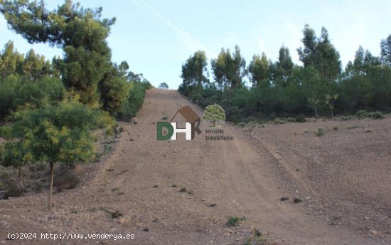 Solar en venta en Cáceres (Cáceres)