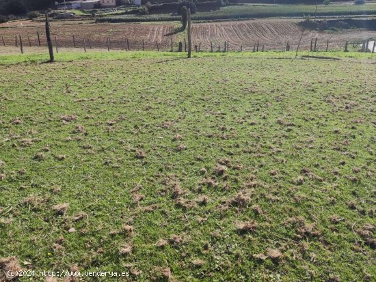 Parcela en venta en Castropol (Asturias)