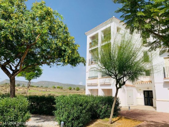 Apartamento en alquiler en Murcia (Murcia)