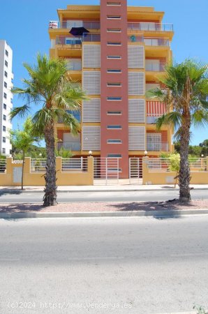 Apartamento en venta en Guardamar del Segura (Alicante)