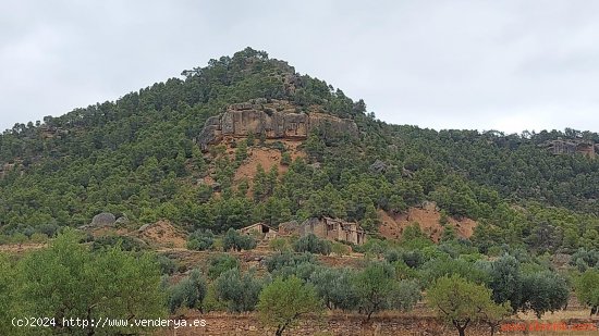  Finca en venta en Ráfales (Teruel) 