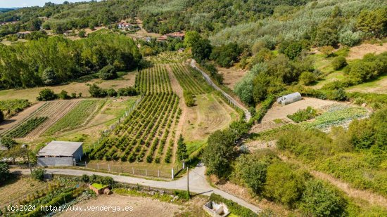 Local en venta en Monforte de Lemos (Lugo)