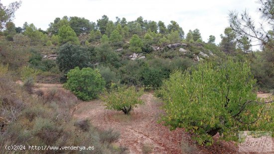 Finca en venta en Calaceite (Teruel)