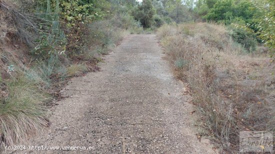 Finca en venta en Calaceite (Teruel)