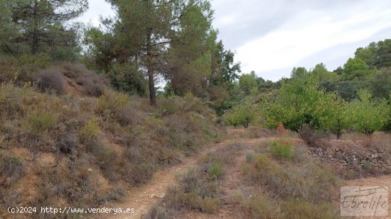 Finca en venta en Calaceite (Teruel)