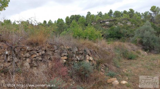 Finca en venta en Calaceite (Teruel)