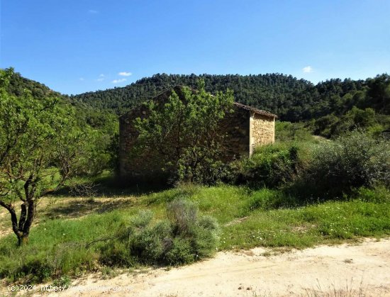 Finca en venta en Batea (Tarragona)