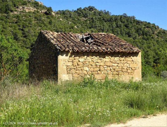 Finca en venta en Batea (Tarragona)