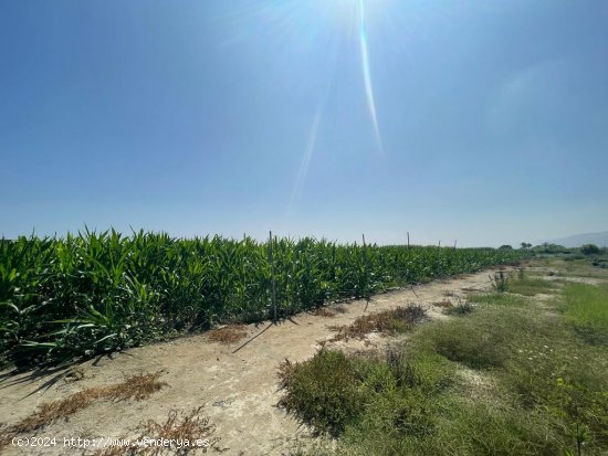 Parcela en venta en Salobreña (Granada)