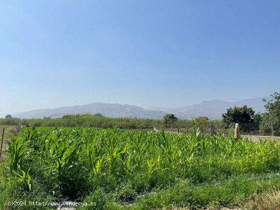 Parcela en venta en Salobreña (Granada)