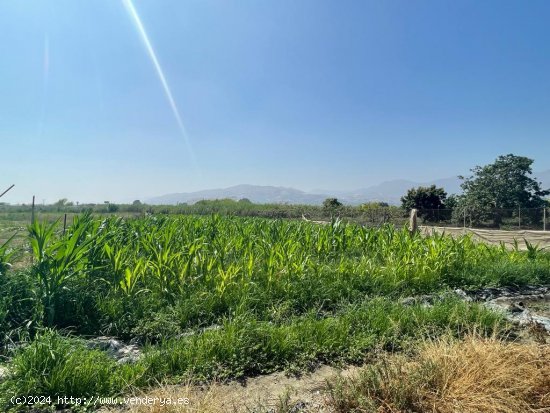 Parcela en venta en Salobreña (Granada)