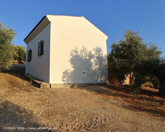 Casa en venta en Íllora (Granada)