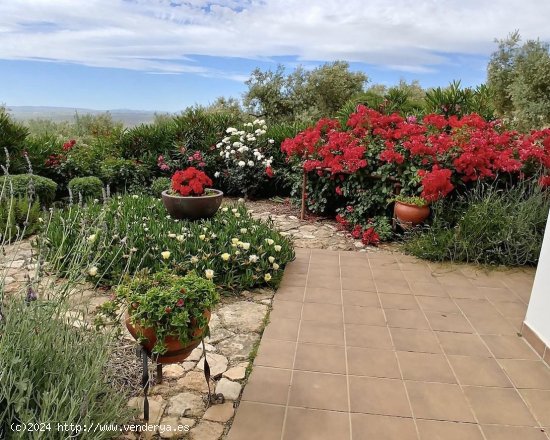 Casa en venta en Íllora (Granada)