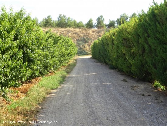 Finca en venta en Maella (Zaragoza)