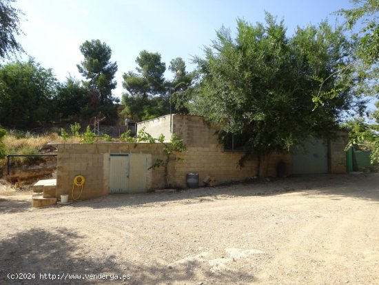 Finca en venta en Maella (Zaragoza)